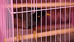 Serial facebook ghesmat 29 - س...