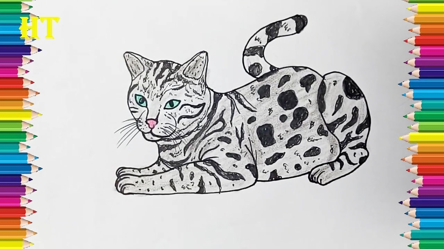 Bengal Cat Drawing Art Print by Moii_Arts | Society6