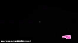 تشکیل خانواده پونی    ت