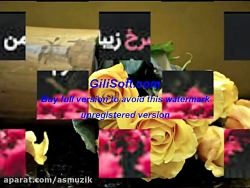 دختر تگزاسی دختر تگزاسی