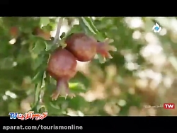 تهرانگرد : باغ های زیبای ترشنبه