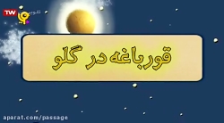 شن دونه ها  قورباقه درگاو