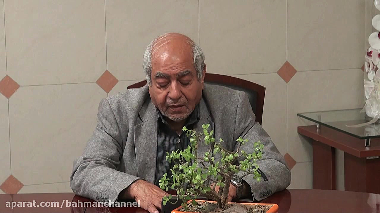 صحبت های شنیدنی دکتر سید محمد جزایری متخصص ارتوپدی در مورد کمبود ویتامین D لیزر مو