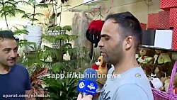 پرورش گل و گیاه در کیش - www.nicekish.com