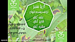 قارچ کش فوق العاده مؤثر بوگی ا...