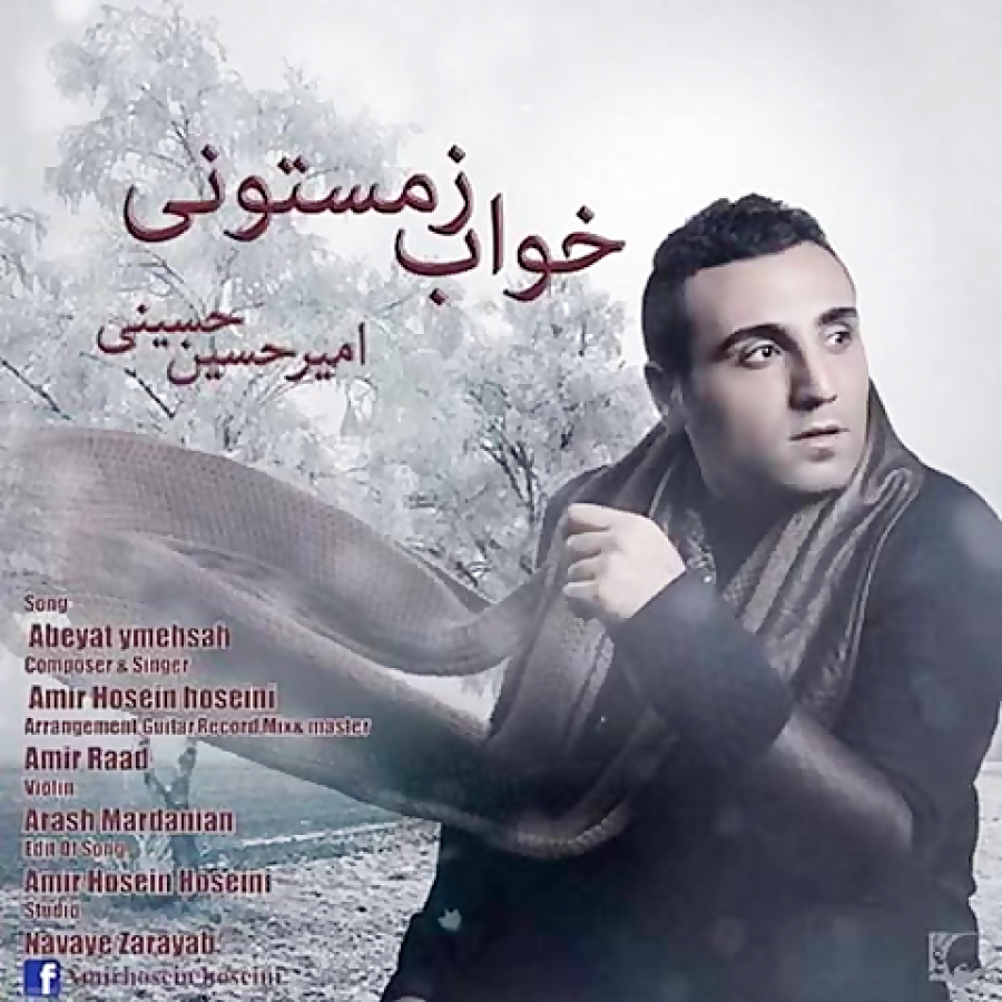 amir-hossein-hosseini-khabe-zemestooni