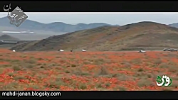 باوری از جنس باران