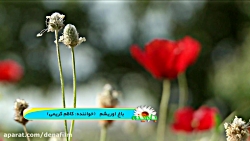 موسیقی موسیقی