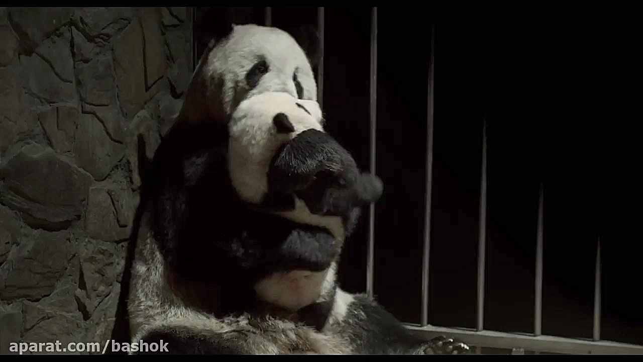 دانلود مستند پانداها Pandas 2018 با دوبله فارسی زمان142ثانیه