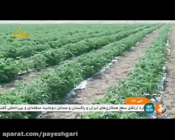 ابلاغ شرایط جدید صادرات محصولا...