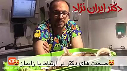 سزارین گربه در بیمارستان دامپزشکی درین دندان مصنوعی
