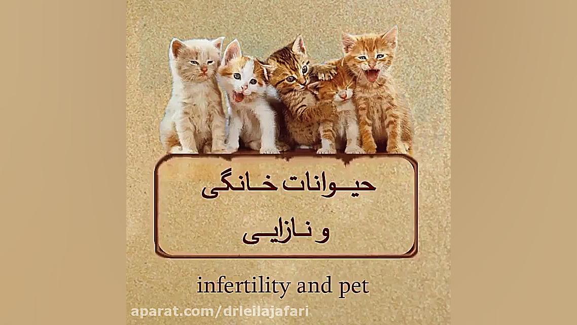 حیوانات خانگی و نازایی دکتر لیلا جعفری