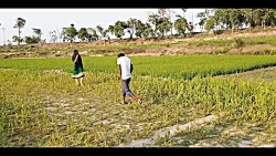 Must Watch New Funny Comedy Vi...