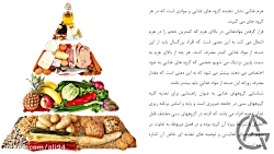 اصول و مبانی تغذیه ورزشی  درس...