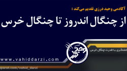 از چنگال اندروز تا چنگال خرس RNA Interference Assay