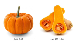خواص و فواید کدو تنبل