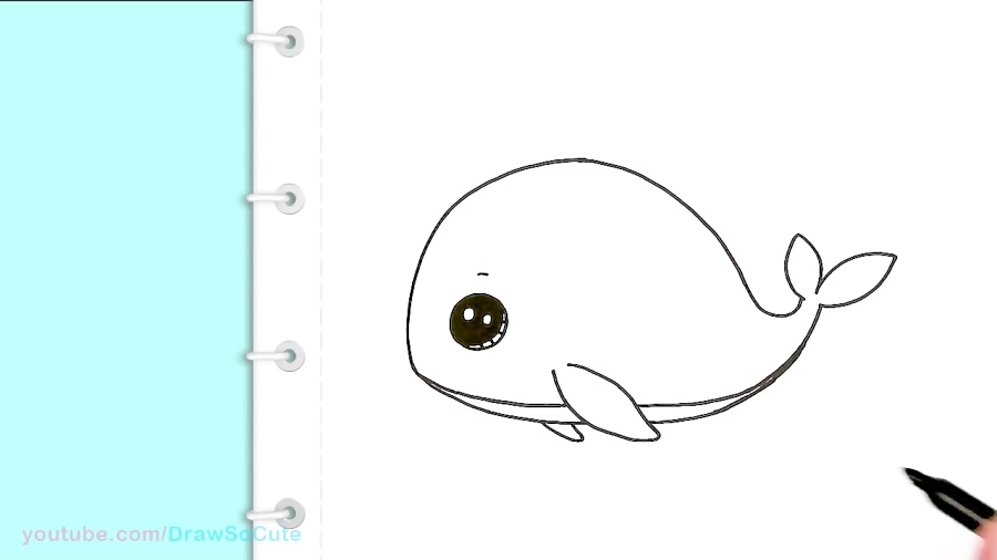 How to Draw a Baby Whale Cute and Easy How to Draw a Baby Whale Cute and Easy