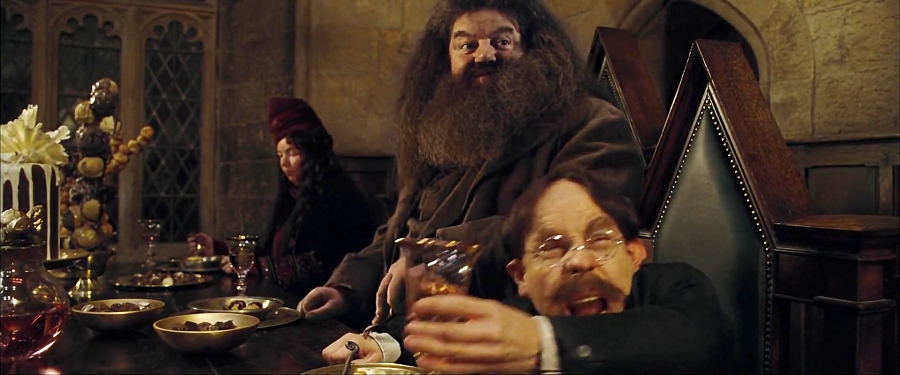دانلود فیلم هری پاتر و جام آتش Harry Potter and the Goblet of Fire 2005 دوزبانه زمان9425ثانیه