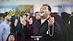 کلیپ زیبای شب قدر در کربلا ویژ...