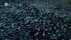 فضیلت خانم دوبله فارسی قسمت ۱۳...