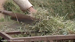 نسیم آبادی - مومن آباد تربت جام