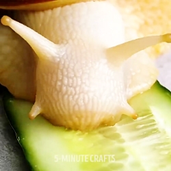 ترفند های جالب _25 COOKING AND SERVING HACKS THAT WILL MAKE YOU SAY WOW