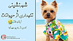 رادیو مهرآوا: آیتم طنز شهرنشین...