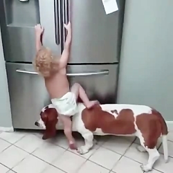 یخچال فرنج هایسنس ایتالیایی