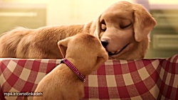 کارتون باربی جدید باربی و خواه...