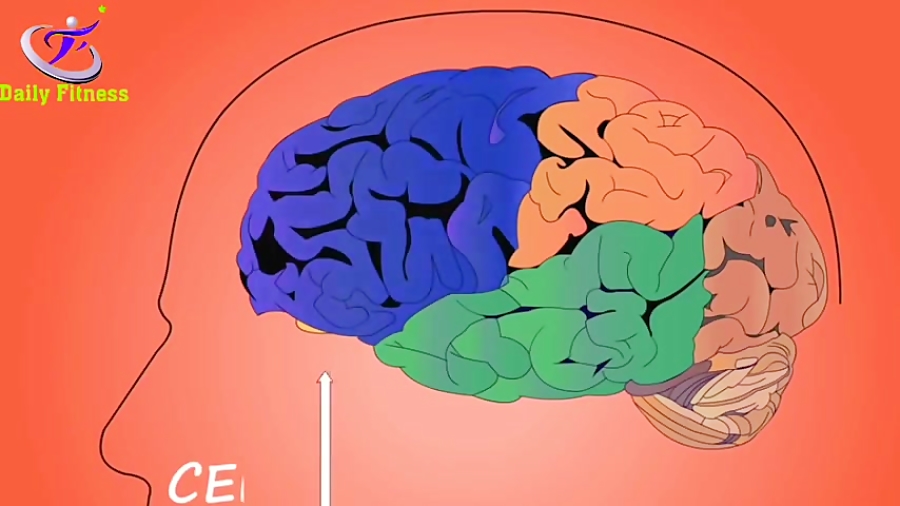 Brain 70. Мозговая активность гениев.