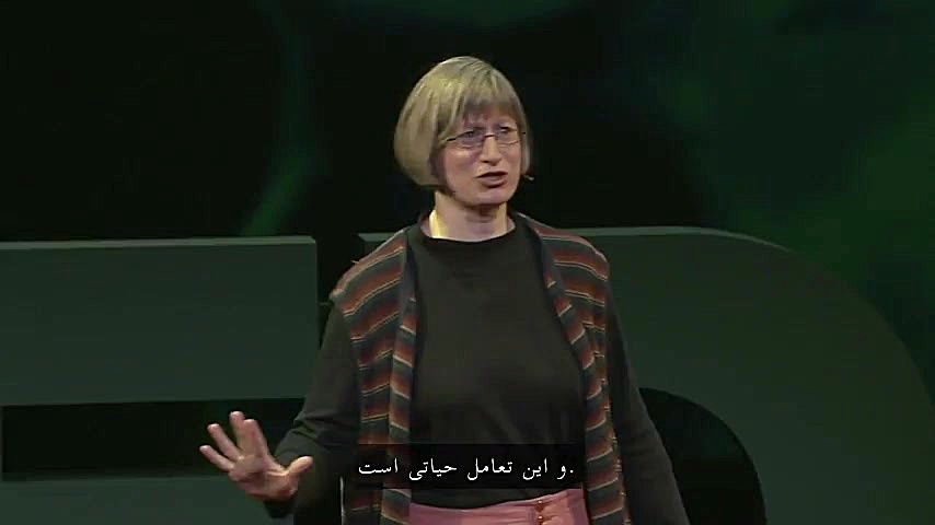 چیزی که دربارهی کالبد شناسی آلت مردانه (*یر)نمیدانستیم حتماببینید دیوید بکهام