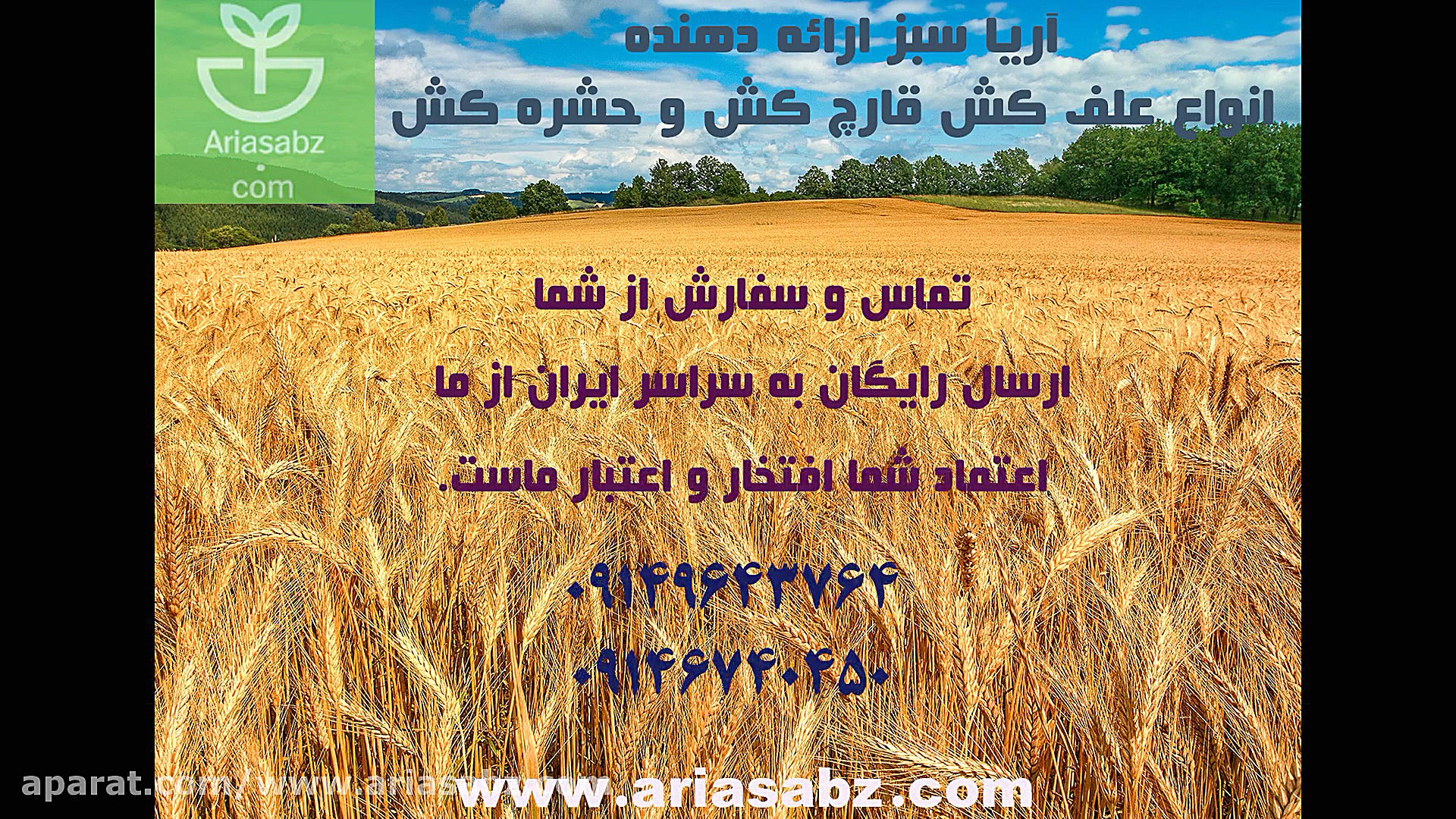 بوگی ایکس پرو | Boogie xpro قارچ کش فوق العاده کشنده آفات گندم زمان28ثانیه