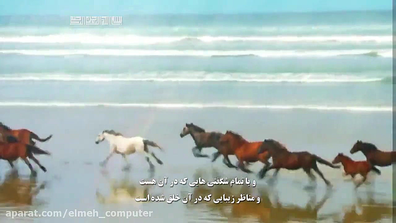 مستند جهان آفرینش قسمت 2 جراحی زیبایی پلک