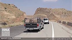 رهاسازی چند گونه جانوری در پار...