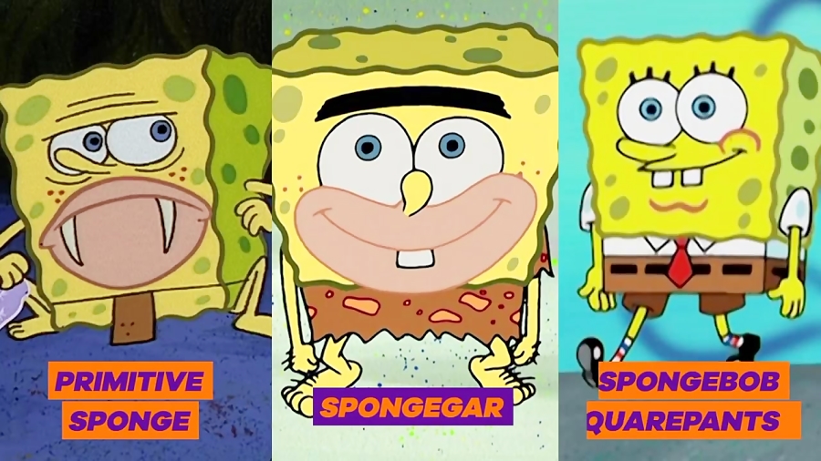 The SpongeBob SquarePants Family  Tree