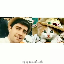 شباهت عجیب یاووز به گربه ها★
