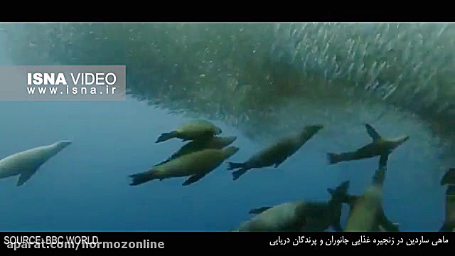 پوستر بزرگ