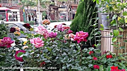 نمونه فیلمبرداری 1080P با گلکس...