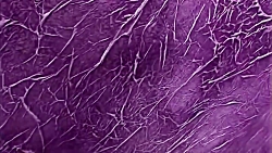 ابتکاری در نقاشی ساختمان و معماری داخلی