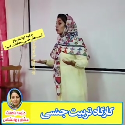 کارگاه تربیت جنسی کودک در شیرا...