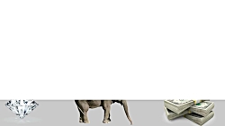 آیا میدانستید؟ دانستنی ها  قسم...