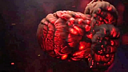 ستاد فرماندهی نیروهای آمریکا :...