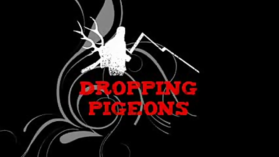 شکار کبوتر با تفنگ بادی گامو س...