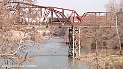 شکار کبوتر با تفنگ سکوم اکستری...