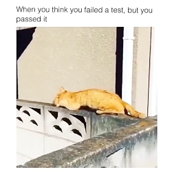 کلیپ خنده دار قیافش عالیه