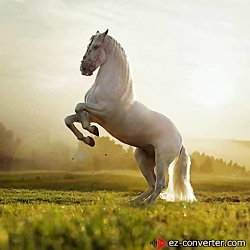 Mahan Moin Man Ba To ماهان معی...