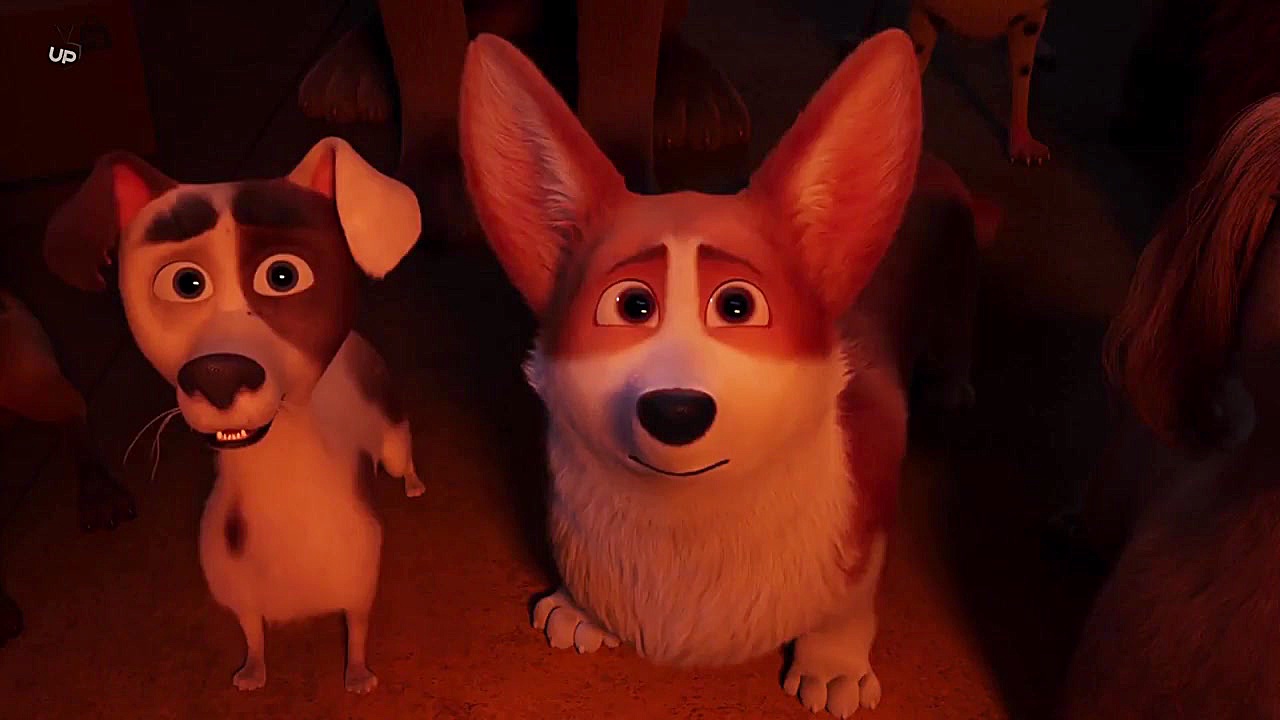 انیمیشن سگ مورد علاقه ملکه The Queens Corgi 2019 | دوبله فارسی | انیمیشن کده زمان5030ثانیه