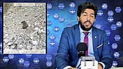 اشک تمساح رضا پهلوی برای حمله...