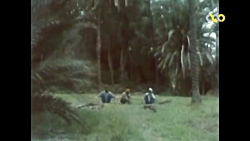 مستند :پیش  بهمنی میناب