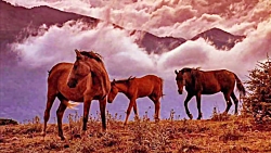 روستای باورنکردنی معلق در بین...